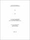 Bo Lei final thesis 0906.pdf.jpg
